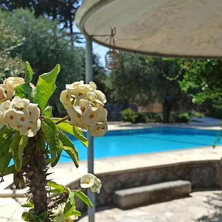 Olive Garden Vakantiehuis