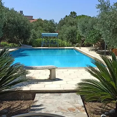 Vakantiehuis Olive Garden *