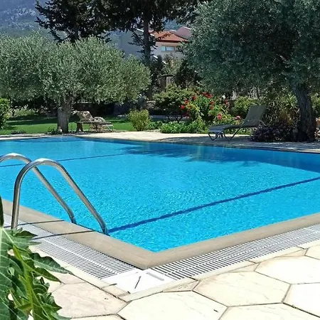 Olive Garden * Lapta