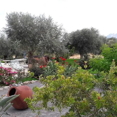 Vakantiehuis Olive Garden