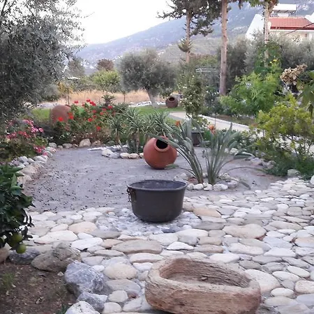 Vakantiehuis Olive Garden *