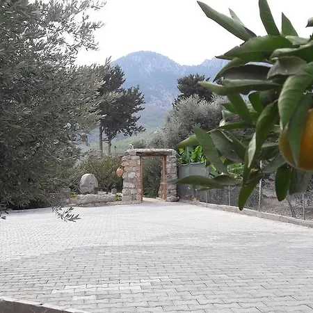 Vakantiehuis Olive Garden Lapta