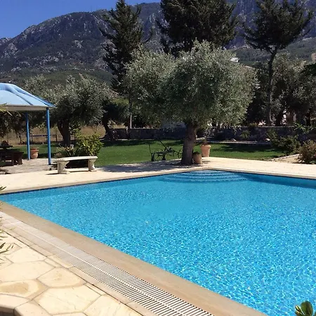 Vakantiehuis Olive Garden