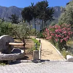 Holiday home Olive Garden Lapithos (Northern Cyprus)