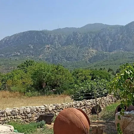 Olive Garden Λάπηθος