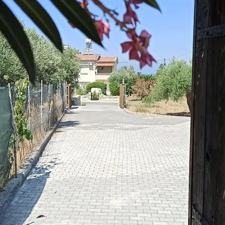 Olive Garden Semesterbostad *