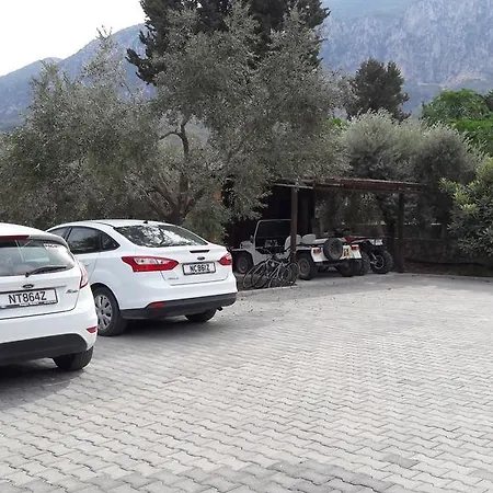 Casa de Férias Olive Garden