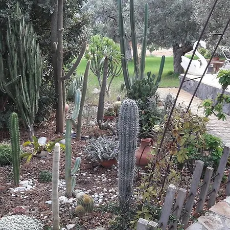 בית נופש Olive Garden לאפיטוס