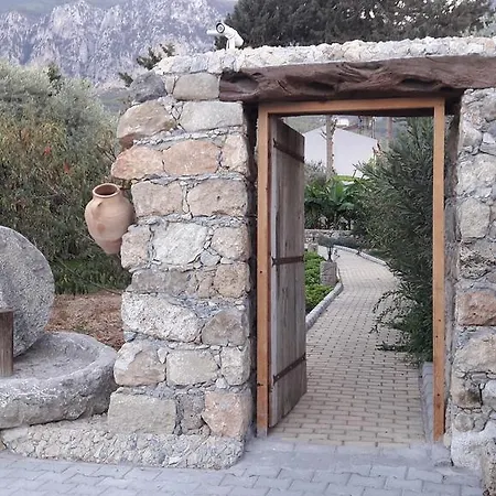 בית נופש Olive Garden