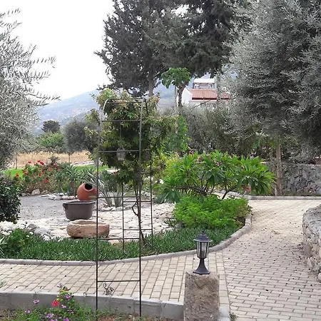 בית נופש Olive Garden *