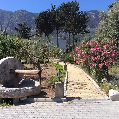 Semesterbostad Olive Garden Lapithos (Northern Cyprus)