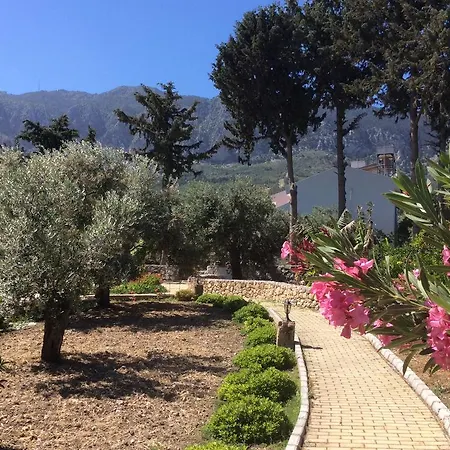 Semesterbostad Olive Garden *