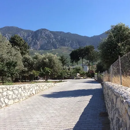 Olive Garden * Lapithos (Northern Cyprus)