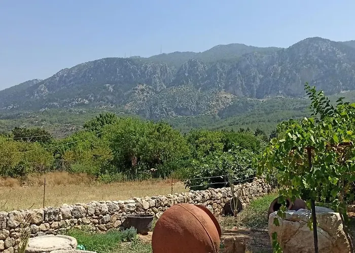 Olive Garden Lápithosz