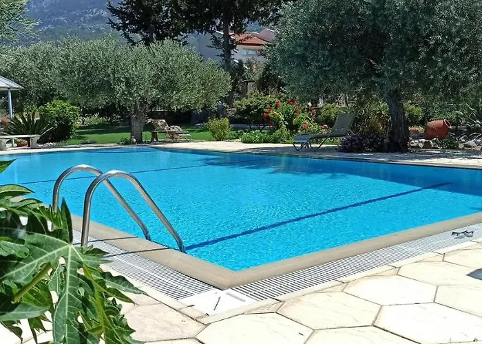 Olive Garden * Lápithosz