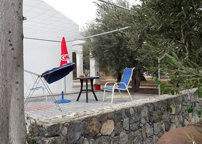 Olive Garden ラピソス