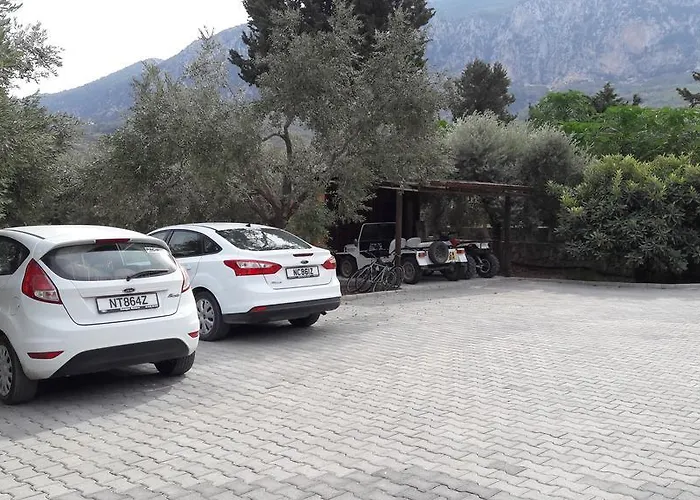 Nyaraló Olive Garden