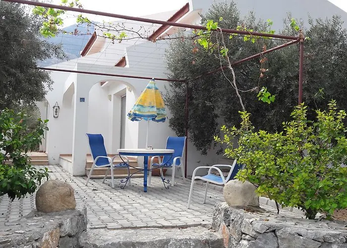 Olive Garden ラピソス