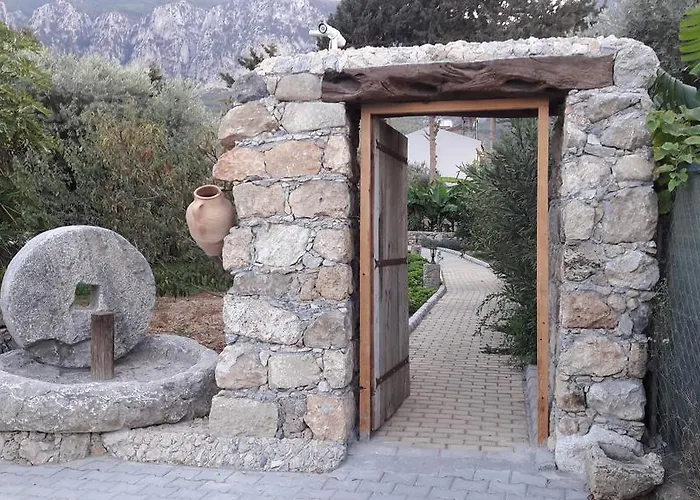 Nyaraló Olive Garden