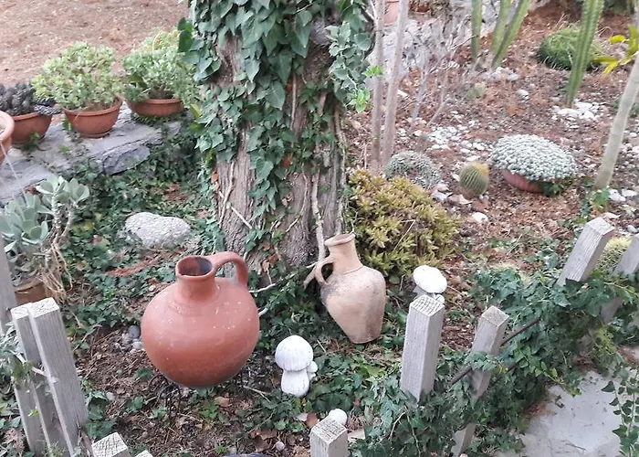 Olive Garden Lápithosz