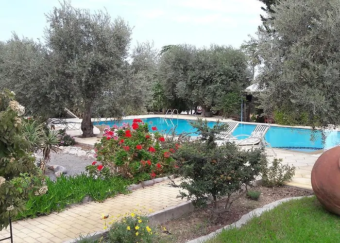 Olive Garden ラピソス