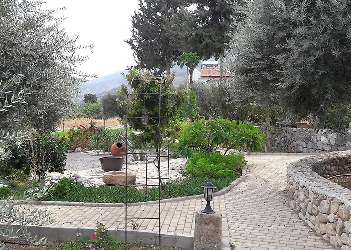 Nyaraló Olive Garden *