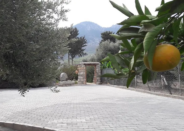 別荘 Olive Garden ラピソス