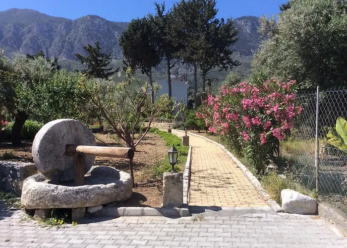 別荘 Olive Garden ラピソス