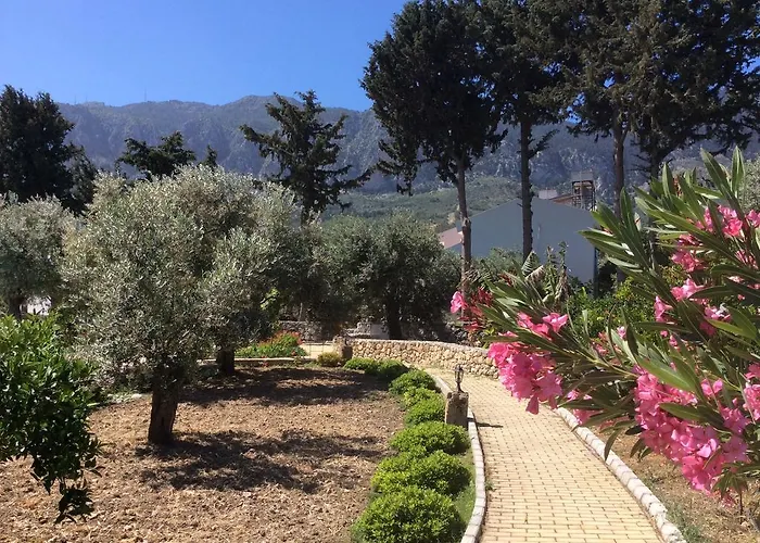 別荘 Olive Garden *