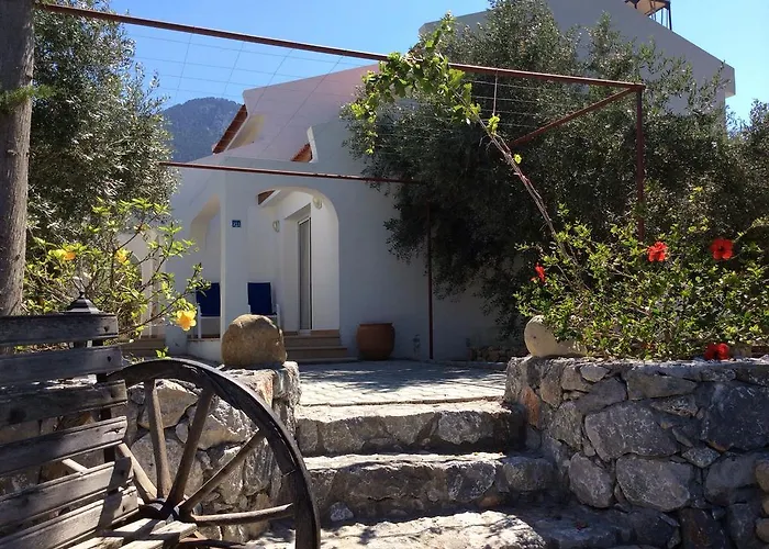 別荘 Olive Garden ラピソス