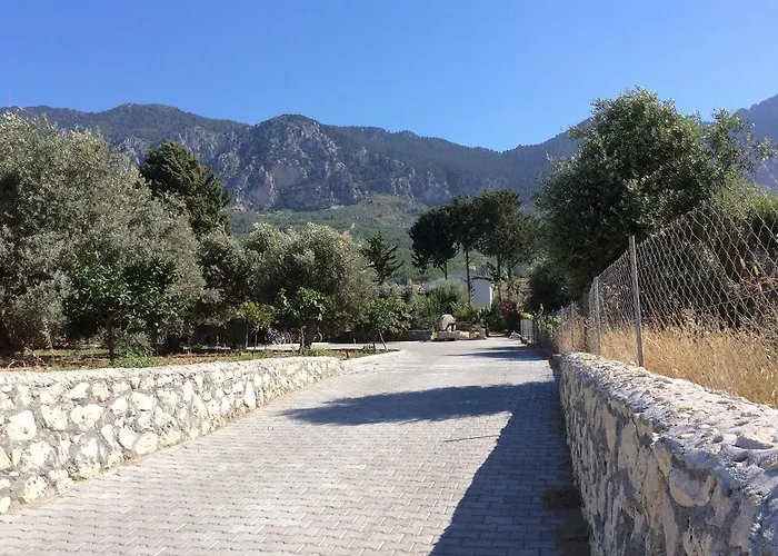 Olive Garden * ラピソス