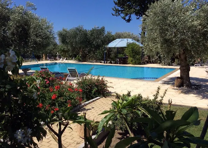 Olive Garden Lápithosz